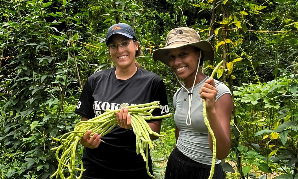Local Community Most locals grow food without chemicals and sell any extra at the Vang Vieng market